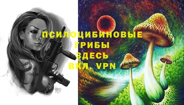 бутират Нягань