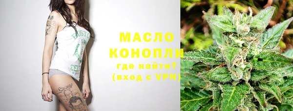 индика Дмитров