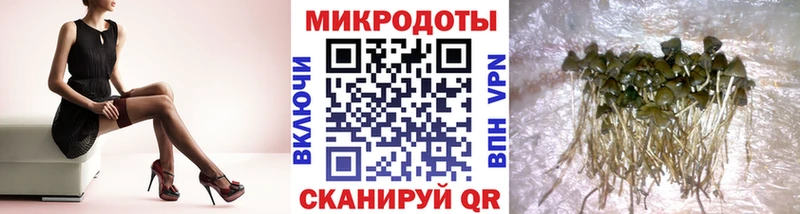 hydra маркетплейс  купить   Отрадный  Псилоцибиновые грибы ЛСД 