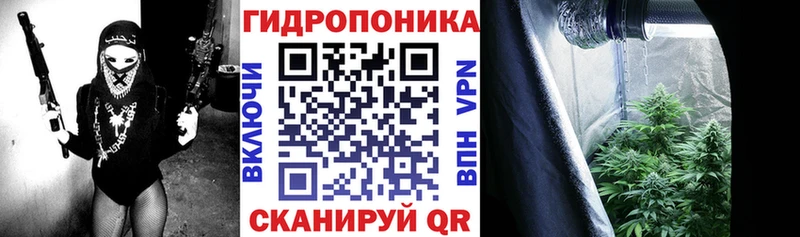 Шишки марихуана конопля kraken зеркало Отрадный